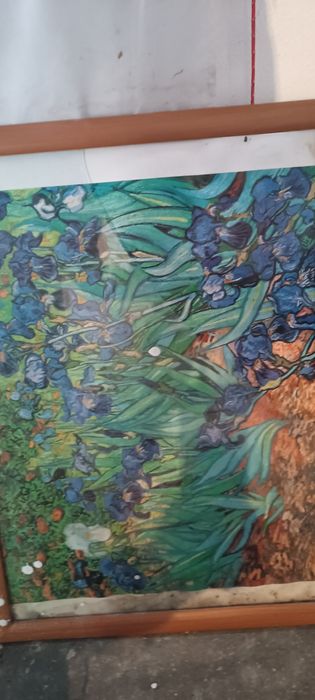 Vendo vários quadros