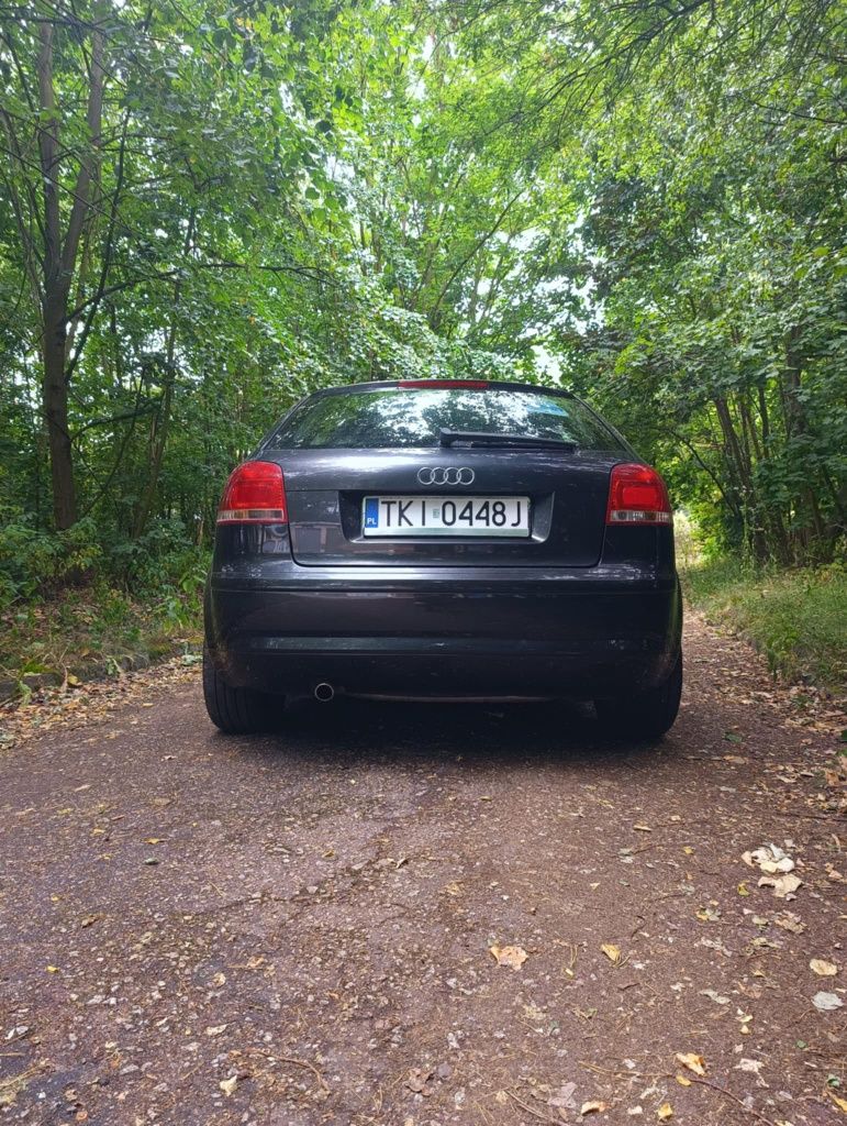 Audi a3 8p 1.6MPI Zadbany!!Prywatnie!!LPG