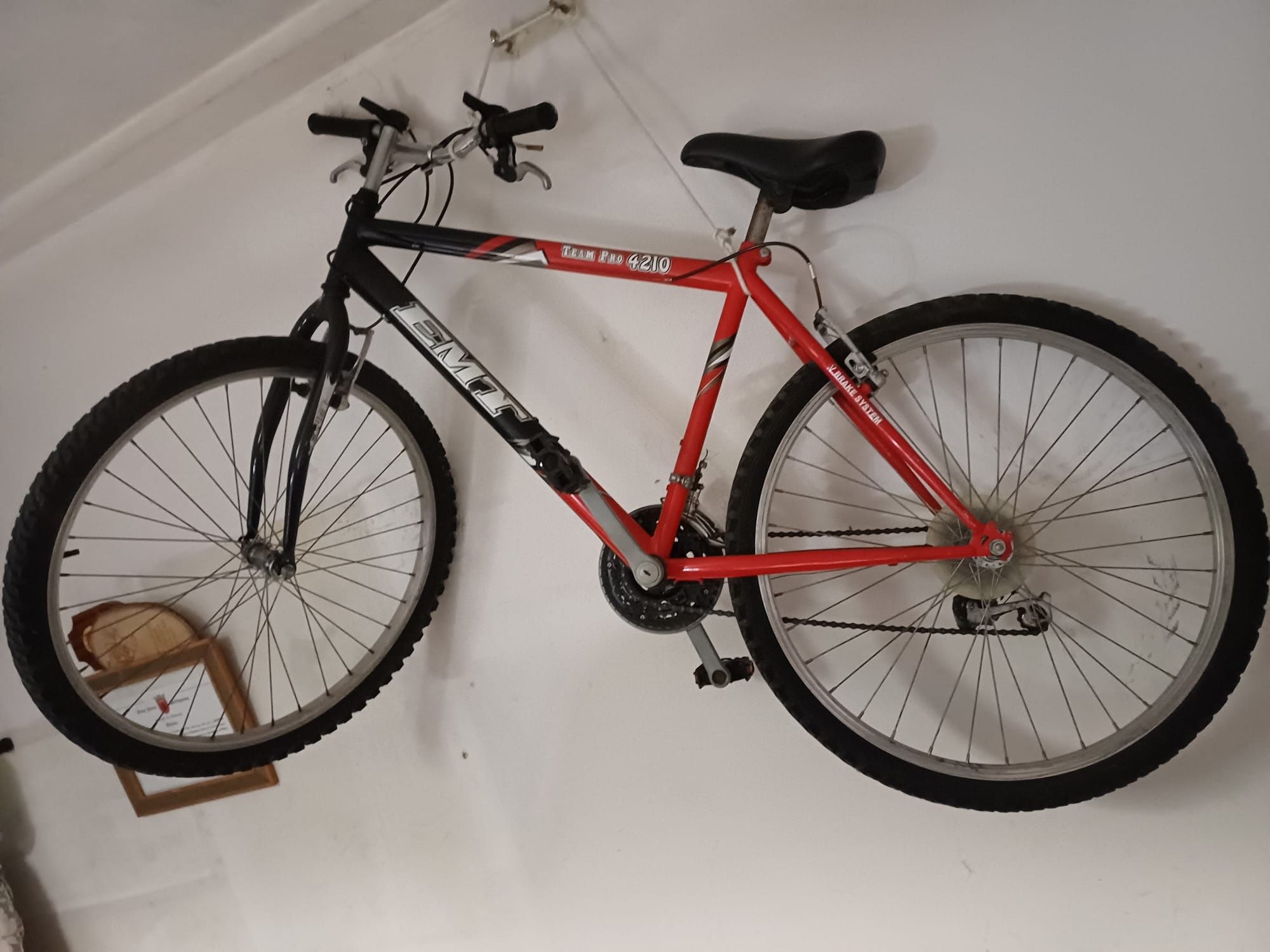 Bicicleta  Team pro