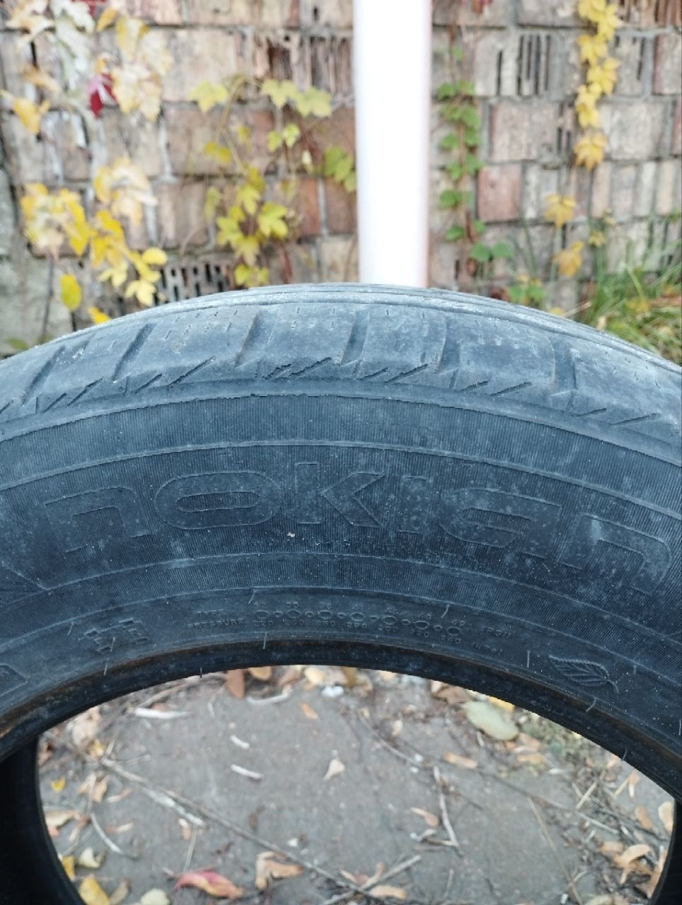 Гума автомобільна зимова 215/65 R16 Nokian