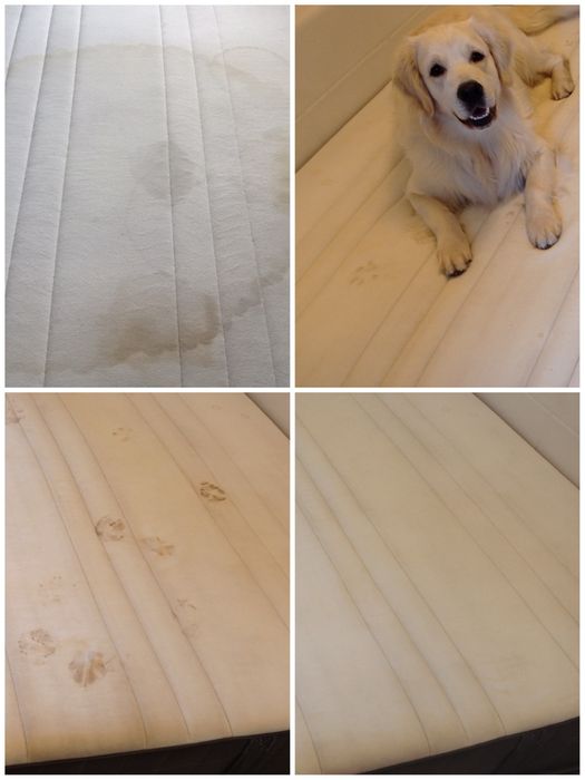 Pranie kanapy, narożników, sofy, foteli, materacy, czyszczenie skóry