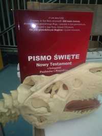 Pismo Święte - ewolucja