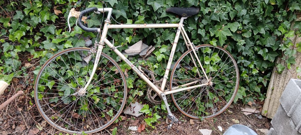 Bicicleta Los Angeles – Swiss Olympic