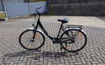 Rower damski pegazus