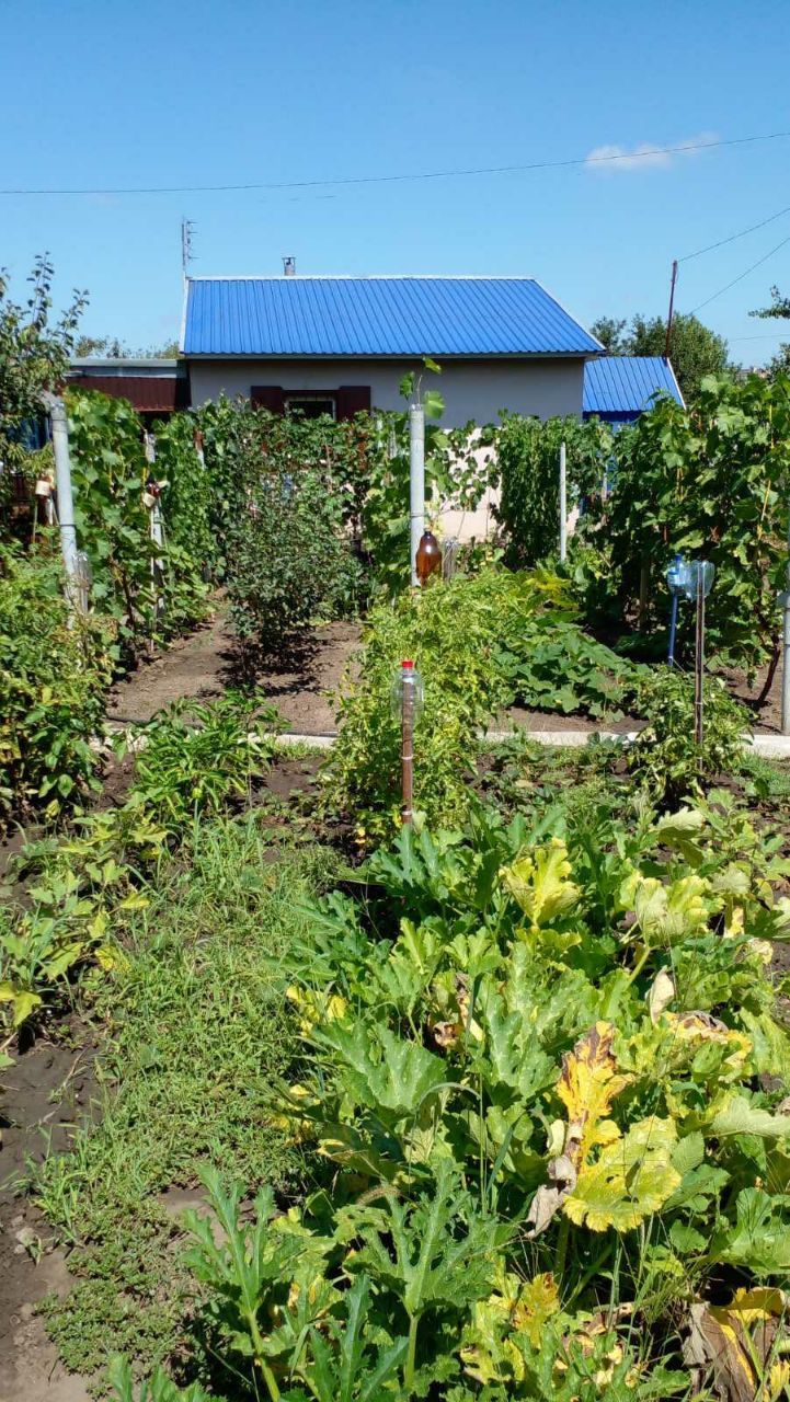 Продаж дачі у місті вул. Істоміна  - будинок, питна вода, світло.