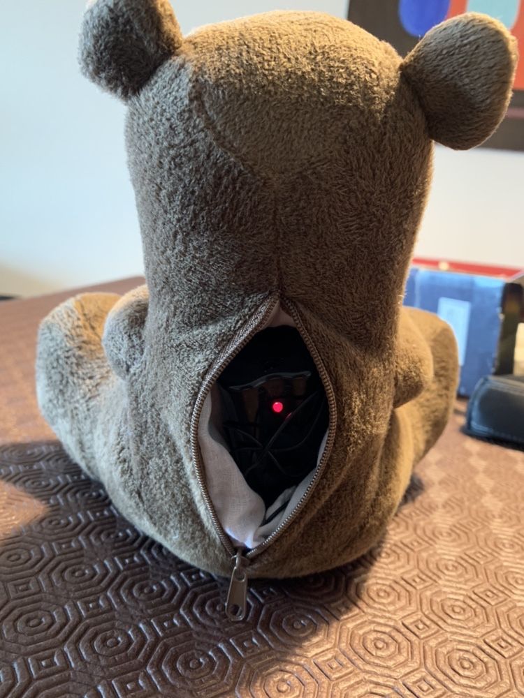 Urso colunas