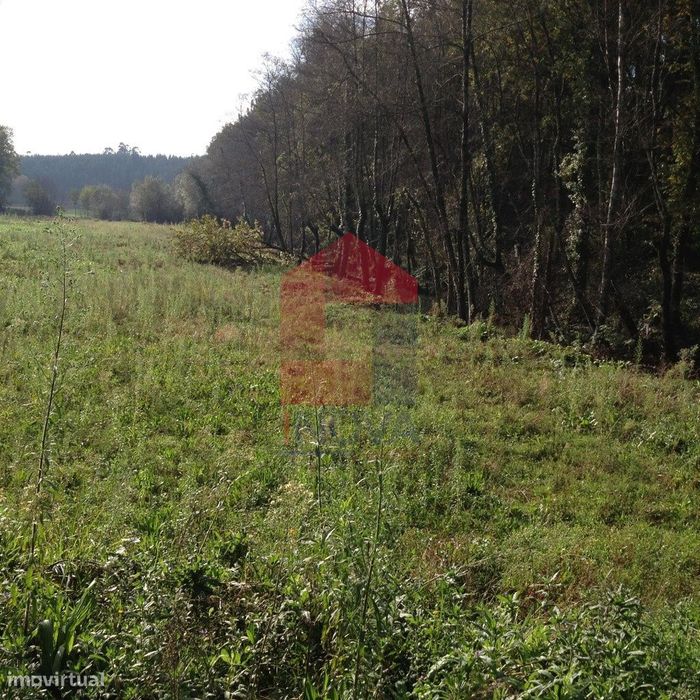 Terreno agrícola, Arcozelo
