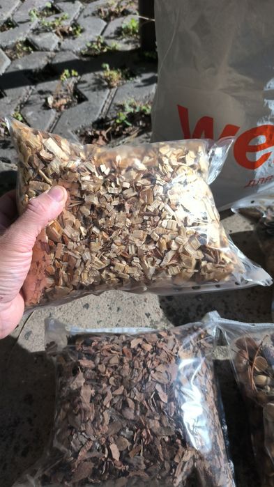 Шишки соснові 2025р., шишки великі до 11 см