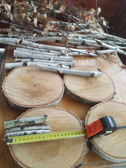 Dekoracje z brzozy patyki, pieńki, plastry, chrust