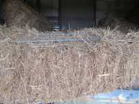 Fardos de Palha  Em Stock