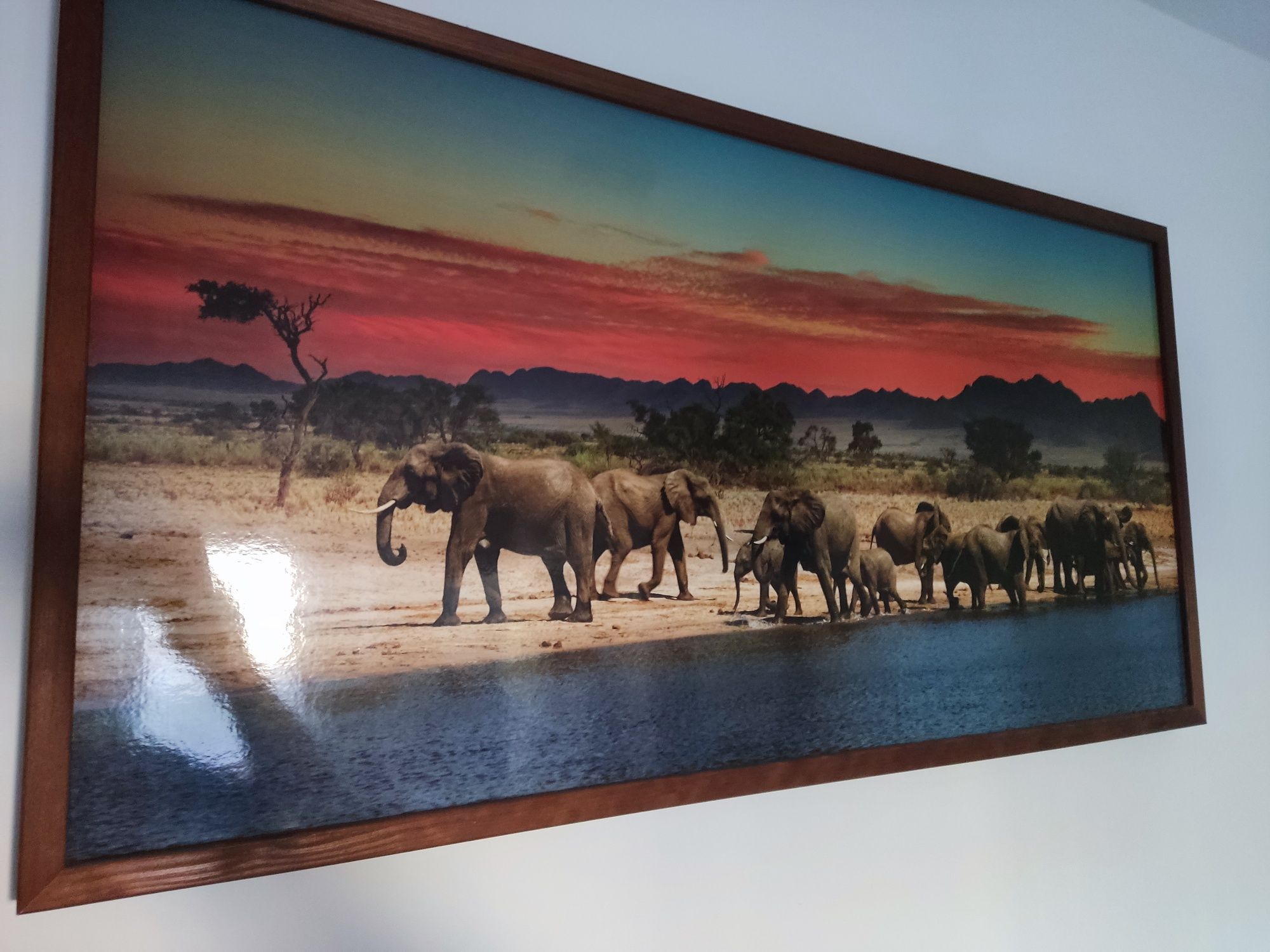 Piękny obraz Słonie nad wodą Duży 103x53 rama drewno