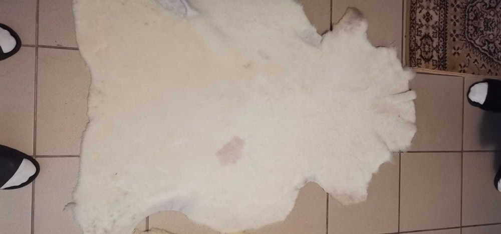 Skóra dekoracyjna owcza barania