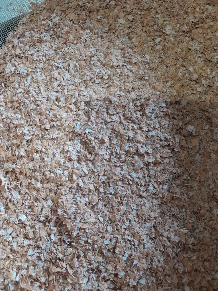 Висівка пшенична для приготування хліба