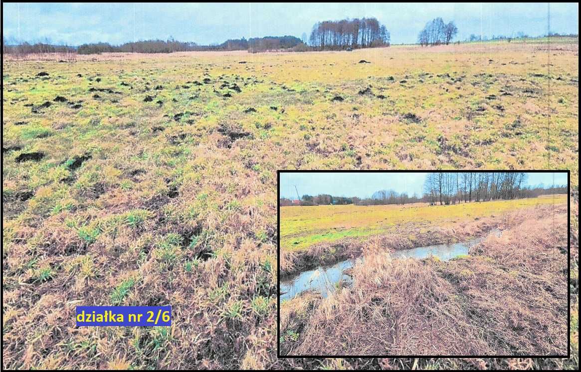 Działka rolna położona we wsi Mierzym, gmina Świeszyno