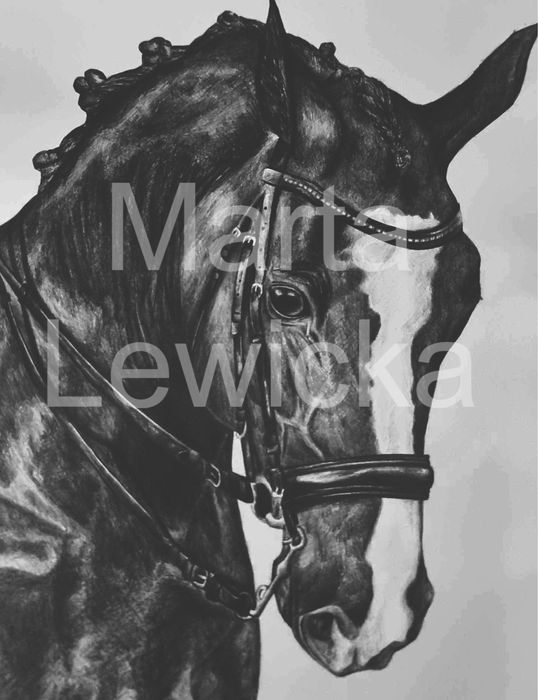 Obrazy i rysunki na zamówienie, farby, ołówek, obraz na ścianie