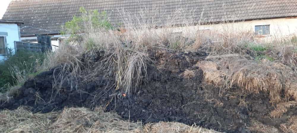 Obornik Pruchnica Koński