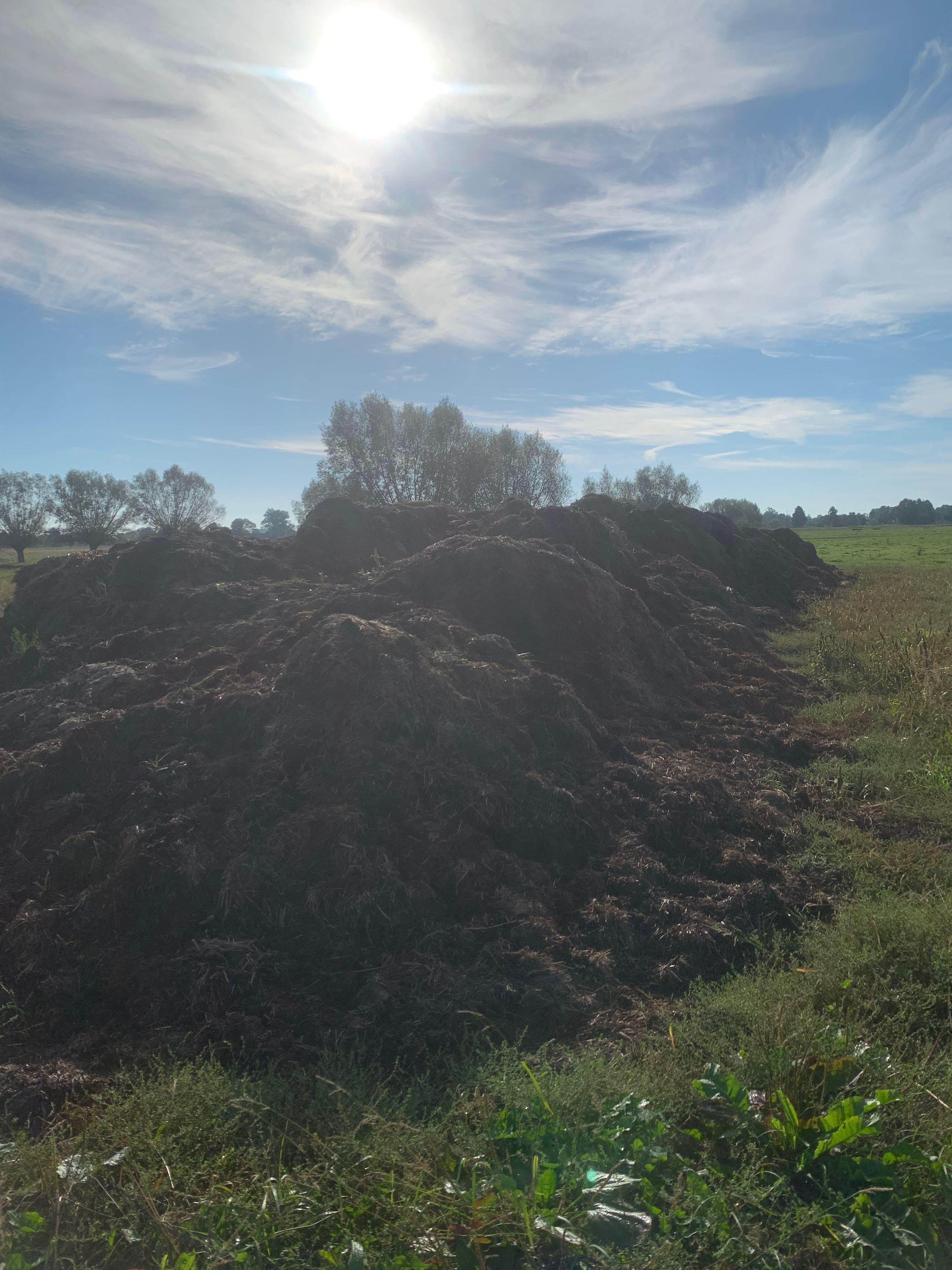 Obornik bydlęcy! 500 ton