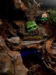 Terrarium na wymiar