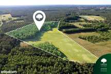 Unikalna nieruchomość gruntowa 9,23 ha – Likiec, gm. Skępe