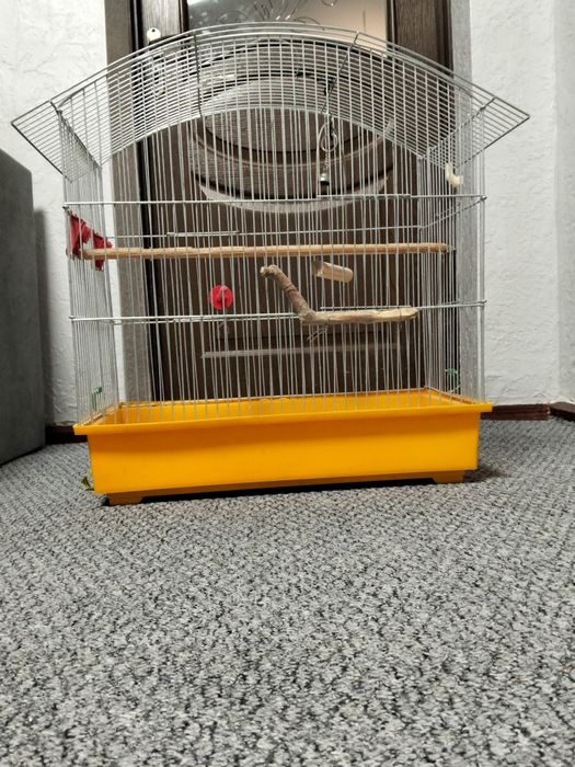 Клітка для папуг