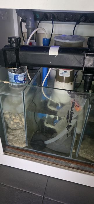 Aquário de água salgada Completo