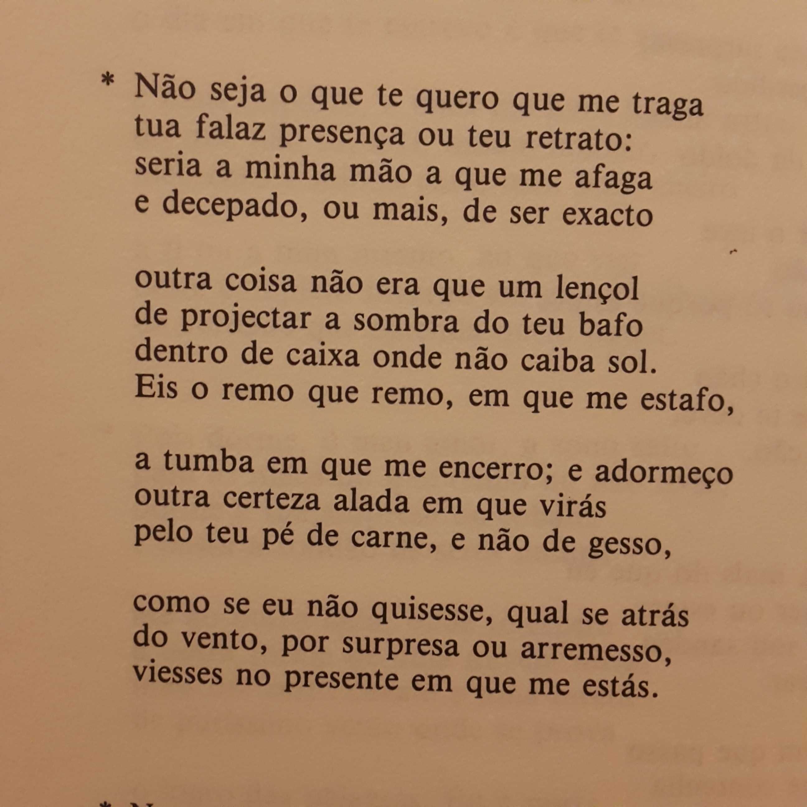 Pedro Tamen - Tábua das Matérias (poesia - 1956/1991)