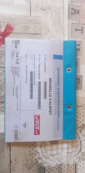 Poldra com 3 anos livro azul