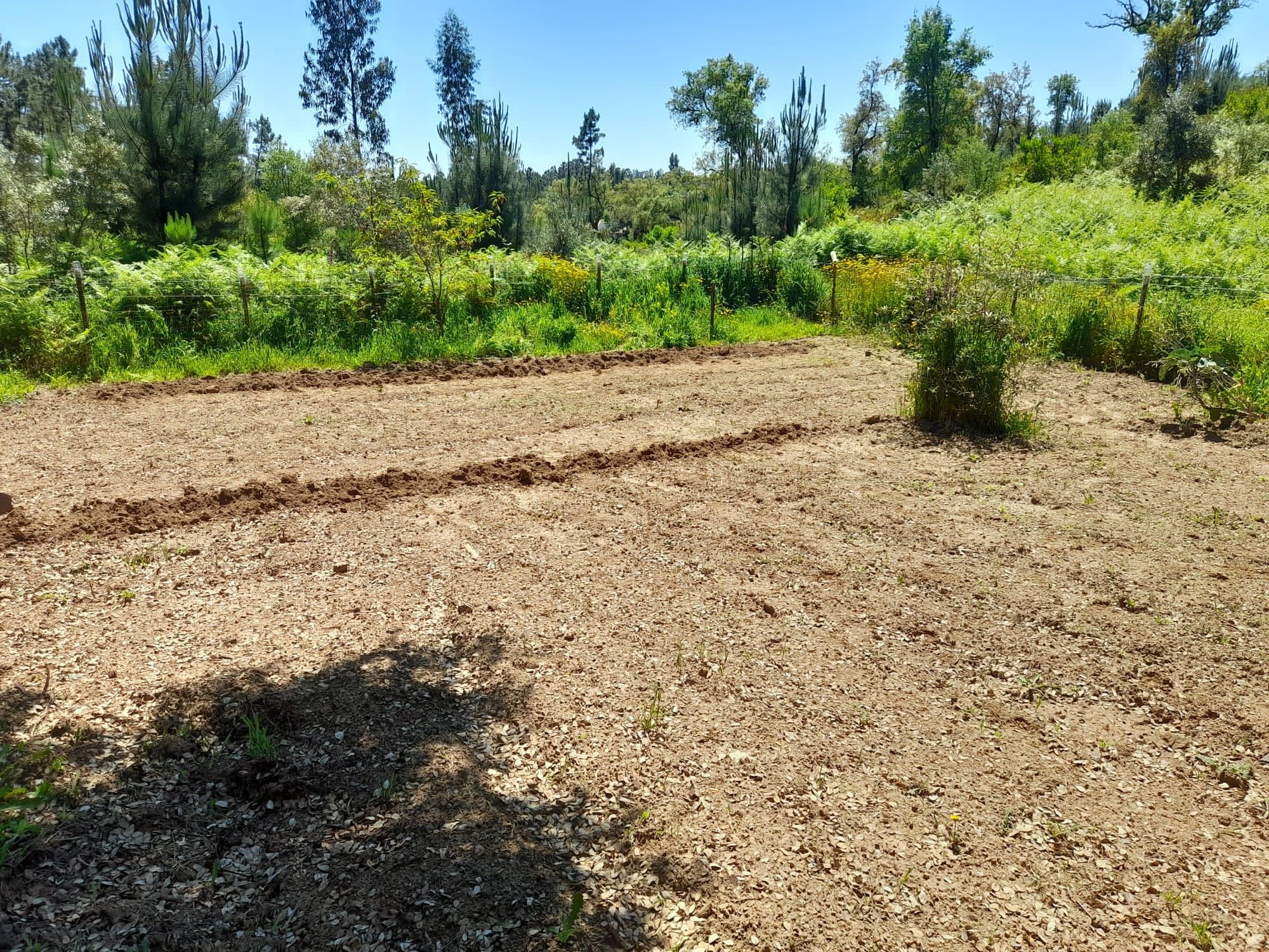 Terreno rustico vedado