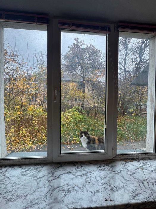 Квартира вільна з автономним газовим опаленням ,Новака ,центр 47 000