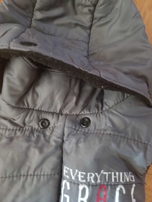 Kurtka / ubranko dla małego psa