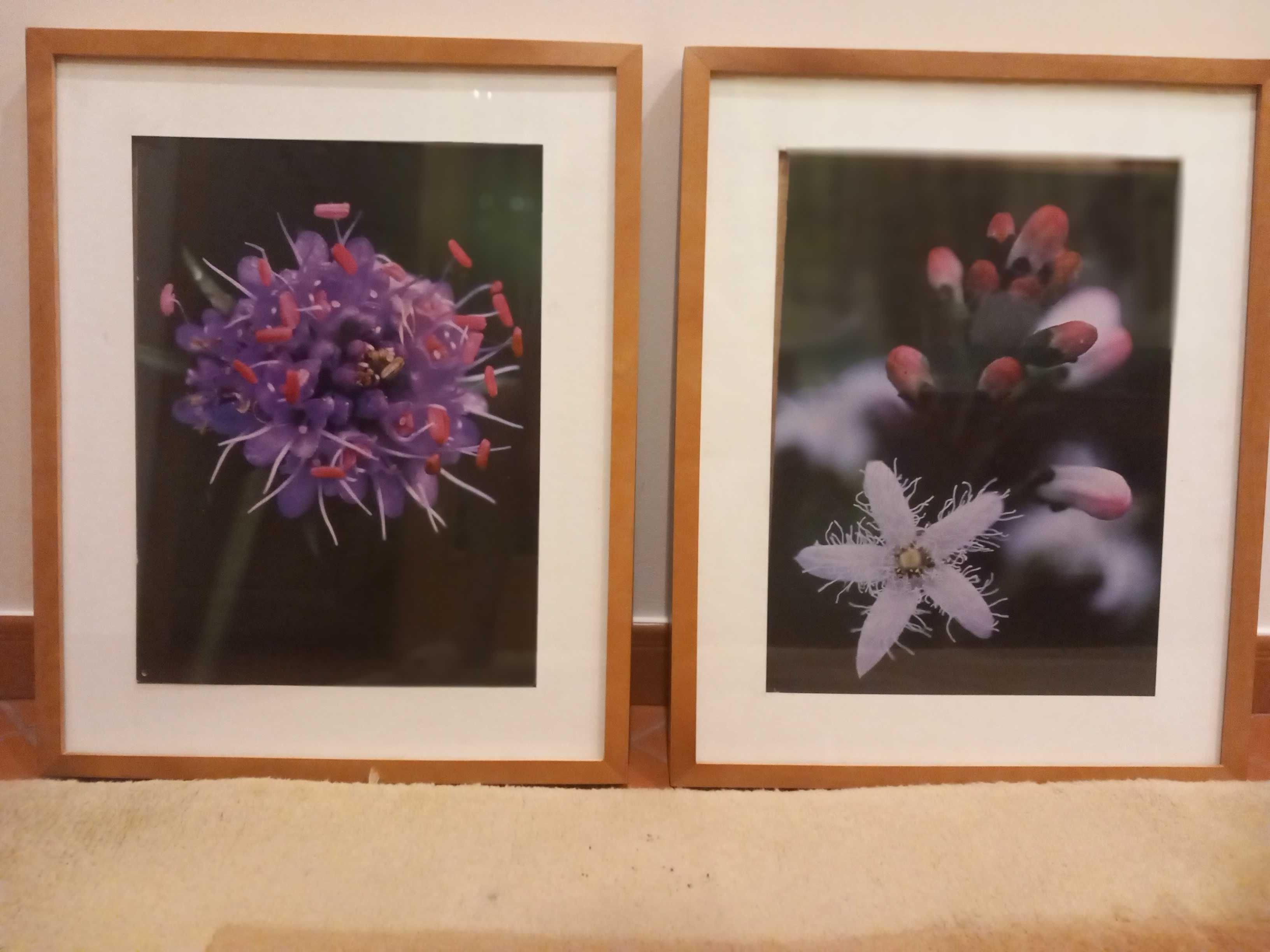 Quadros com motivos florais 43larg x53alt ( PREÇO UNITÁRIO)