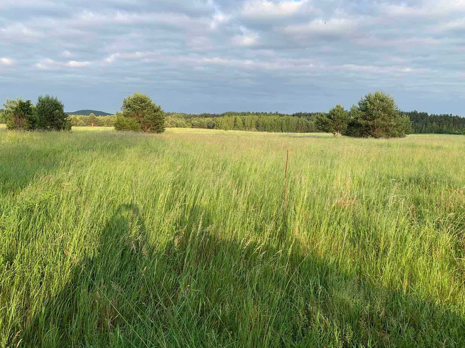 Działka budowlana Bolmin