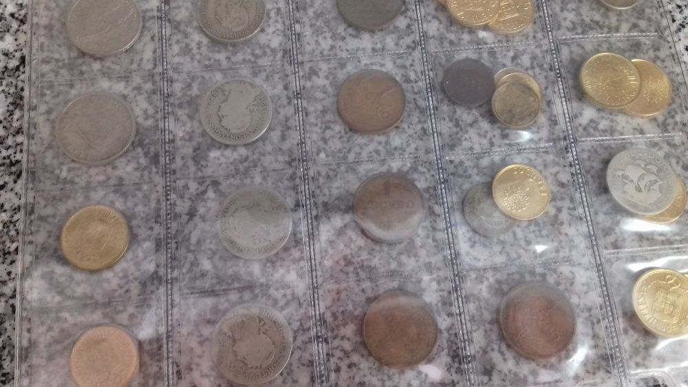 Moedas em escudos