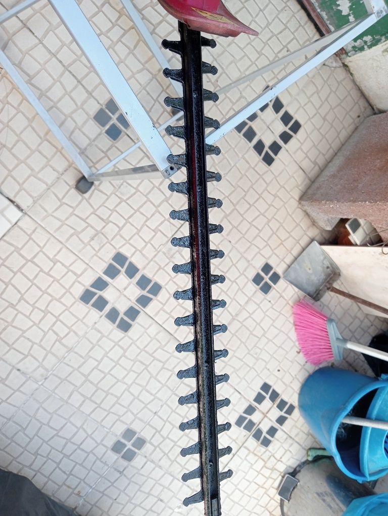 Corta sebes Pinhel.