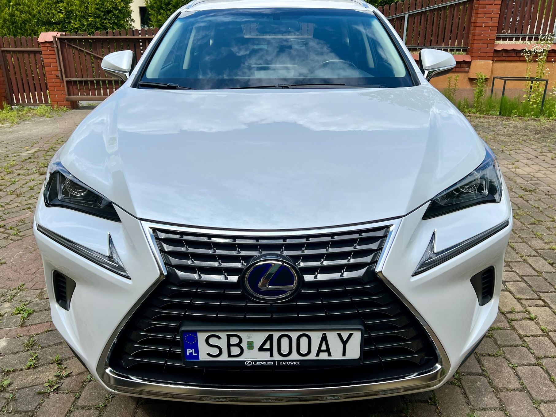 Lexus NX Lexus NX 300h Elegance + Business 2WD