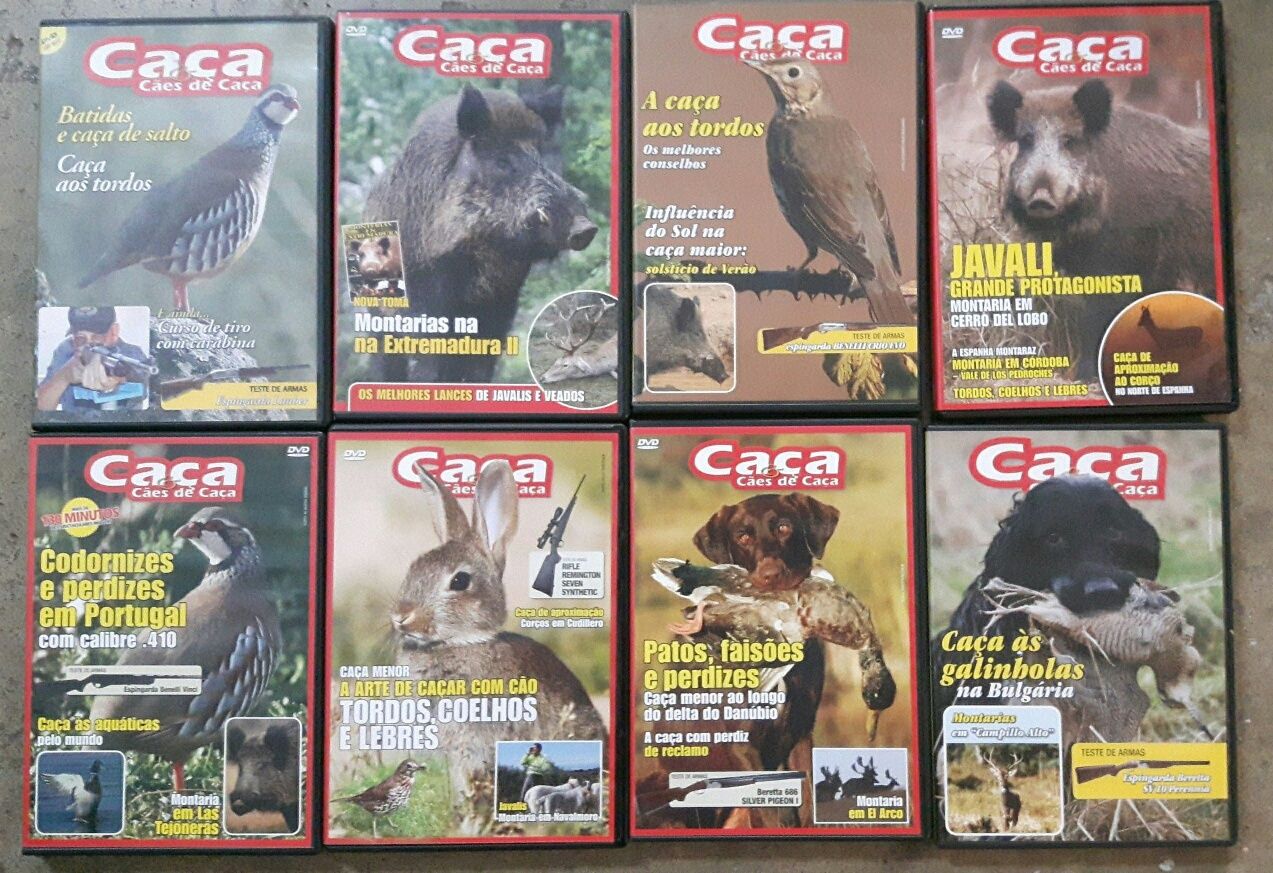 8 DVD com séries de caça