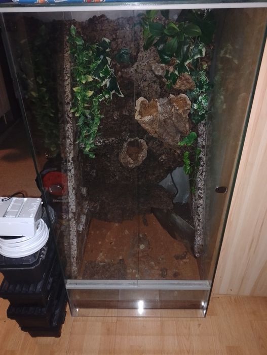 Terrarium 60x60x120 cm z lampą i foggerem