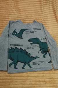 Bluza, Bluzka dinozaury HM, 122-128
Długość 50
Pachy 38 
Rękaw 47