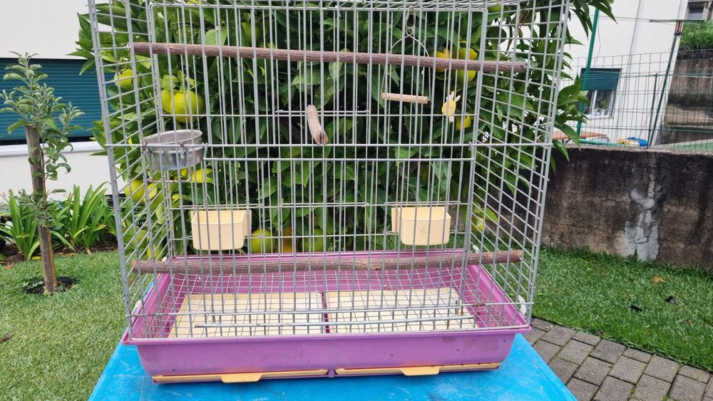 Úteis para passaros