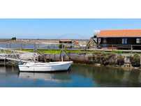 Ilha para venda na Ria de Aveiro