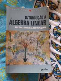 Livro de introdução à Álgebra Linear