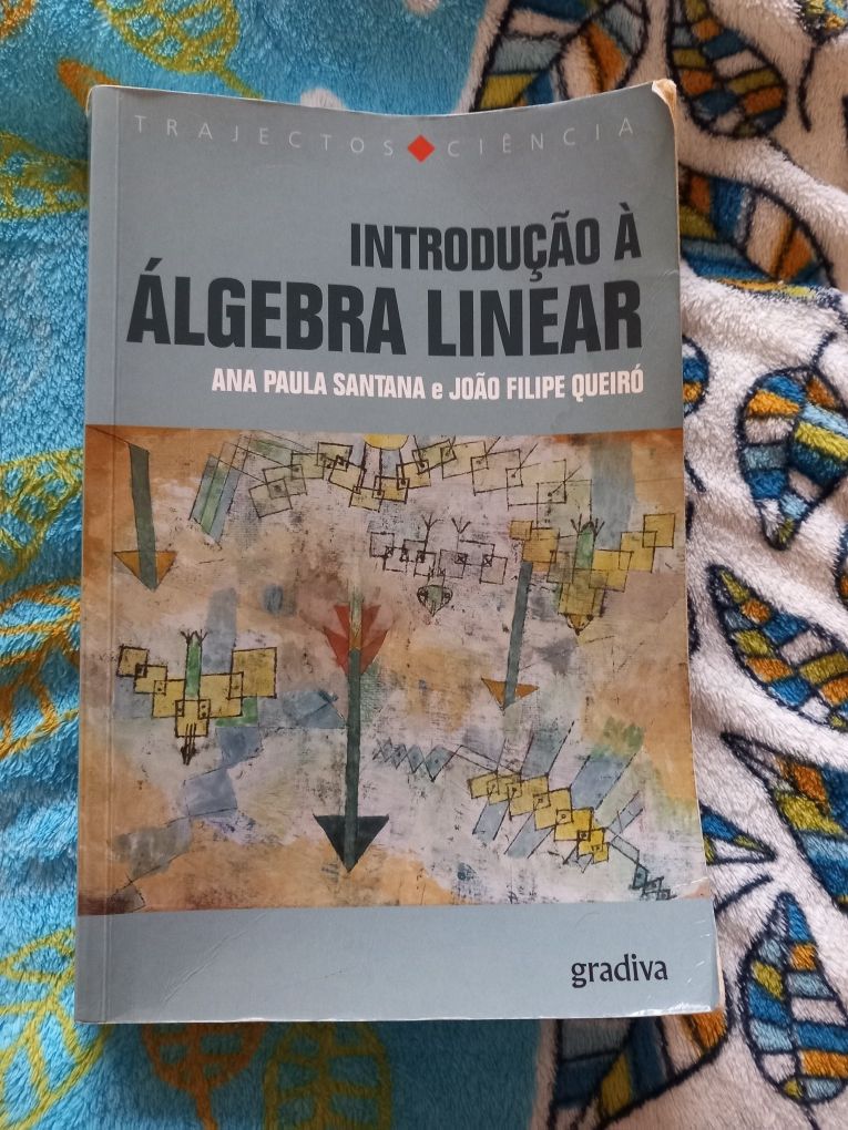 Livro de introdução à Álgebra Linear