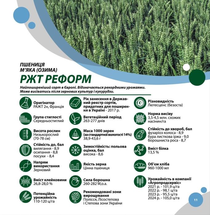 Насіння озимої пшениці Реформ, Депот, Тобак