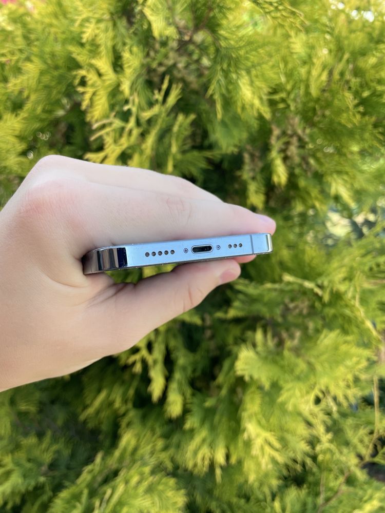 iPhone 13 Pro 256 GB NeverLock