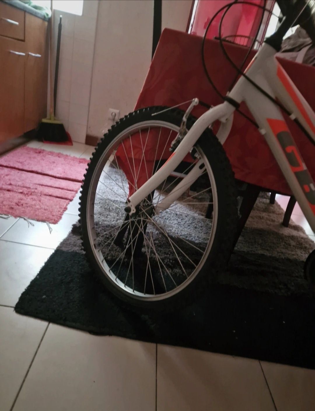 Bicicleta como nova criança