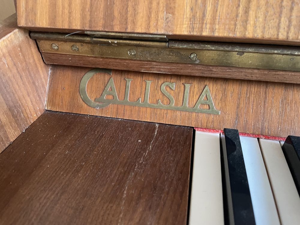 Pianino Calisia idealne dla dziecka