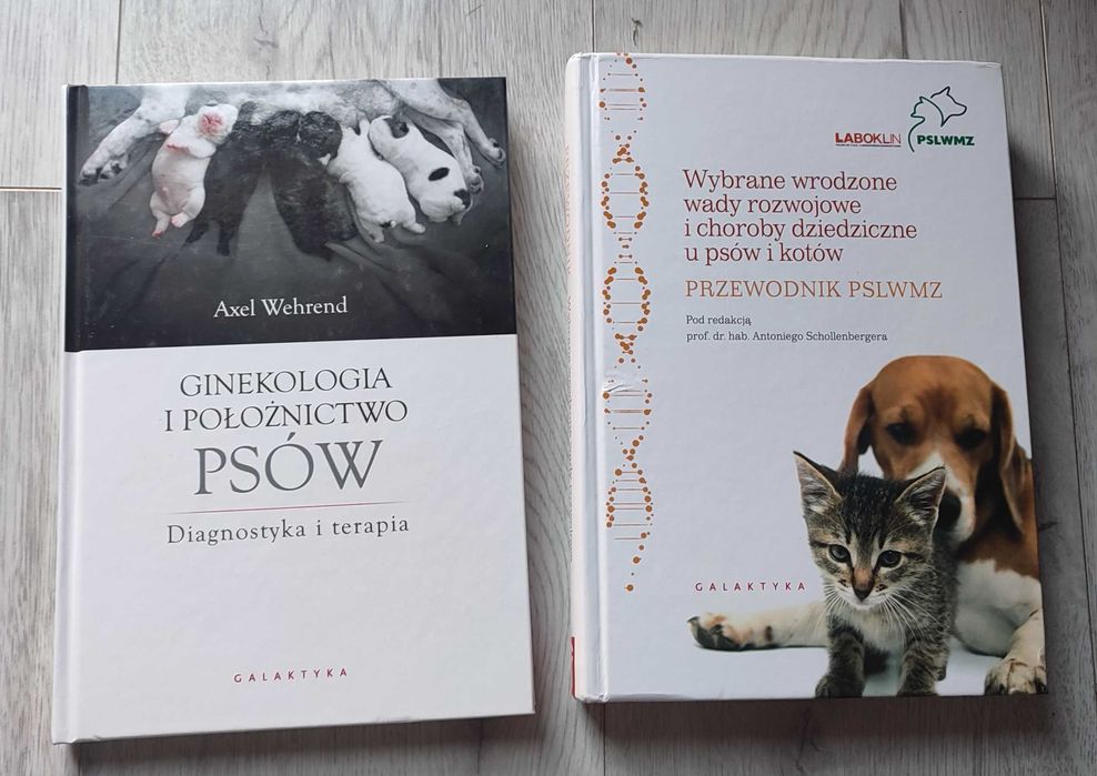 ginekologia i położnictwo psów