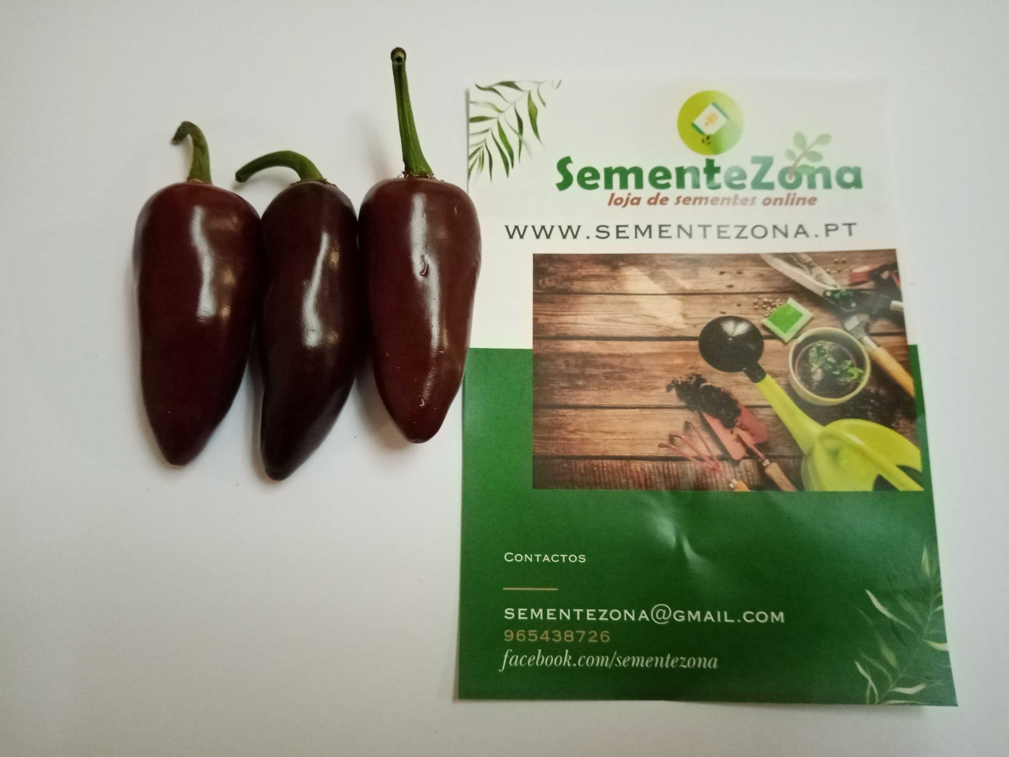 Sementes de Malagueta Jalapeño Chocolate Castanho - Capsicum annuum