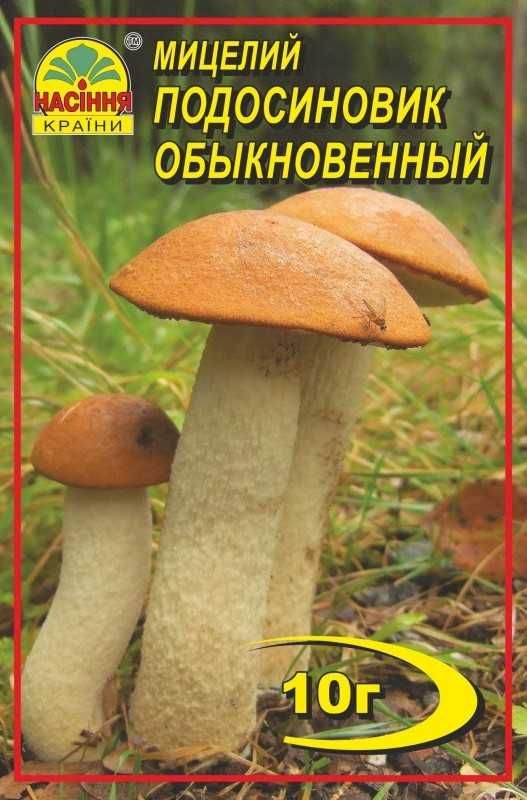 Мицелий грибов сухой