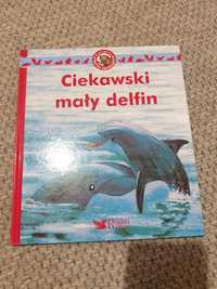 Ciekawski mały delfin